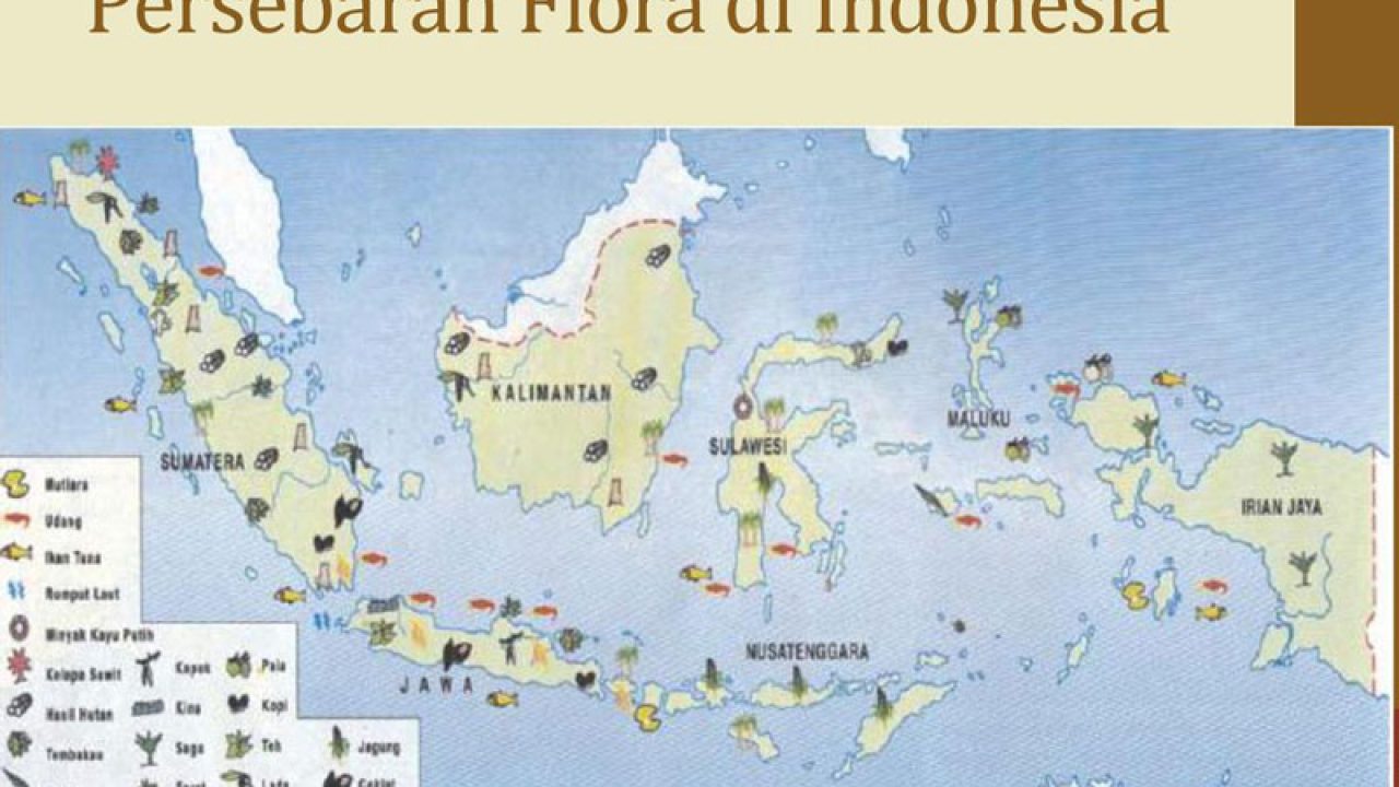 Persebaran Flora di Indonesia dari Masing-masing Jenisnya
