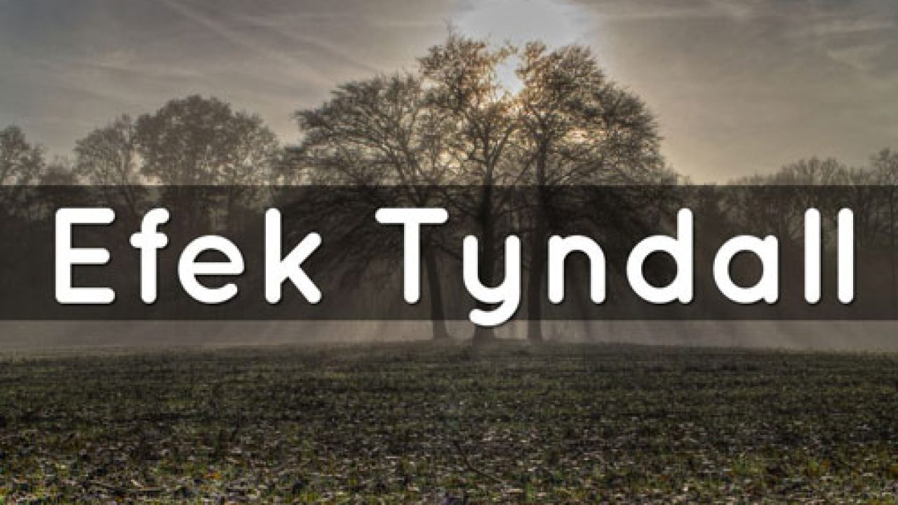 Efek Tyndall : Pengertian, Sejarah dan Contoh (Lengkap)