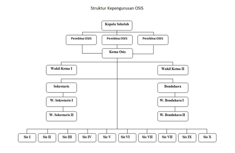 struktur organisasi osis