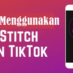 Cara Stitch di TikTok