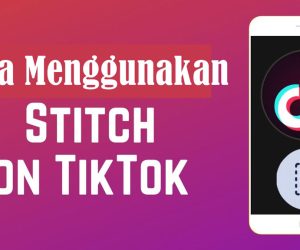 Cara Stitch di TikTok