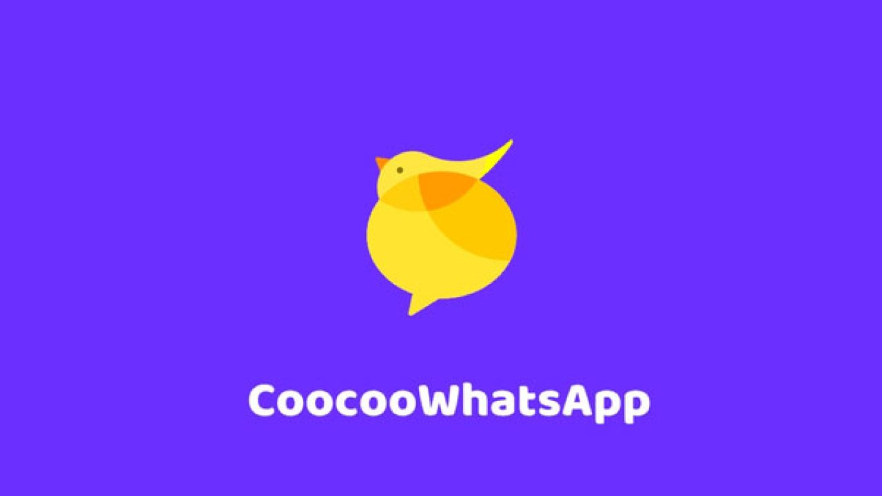 CooCoo WhatsApp (Apk Versi Terbaru)
