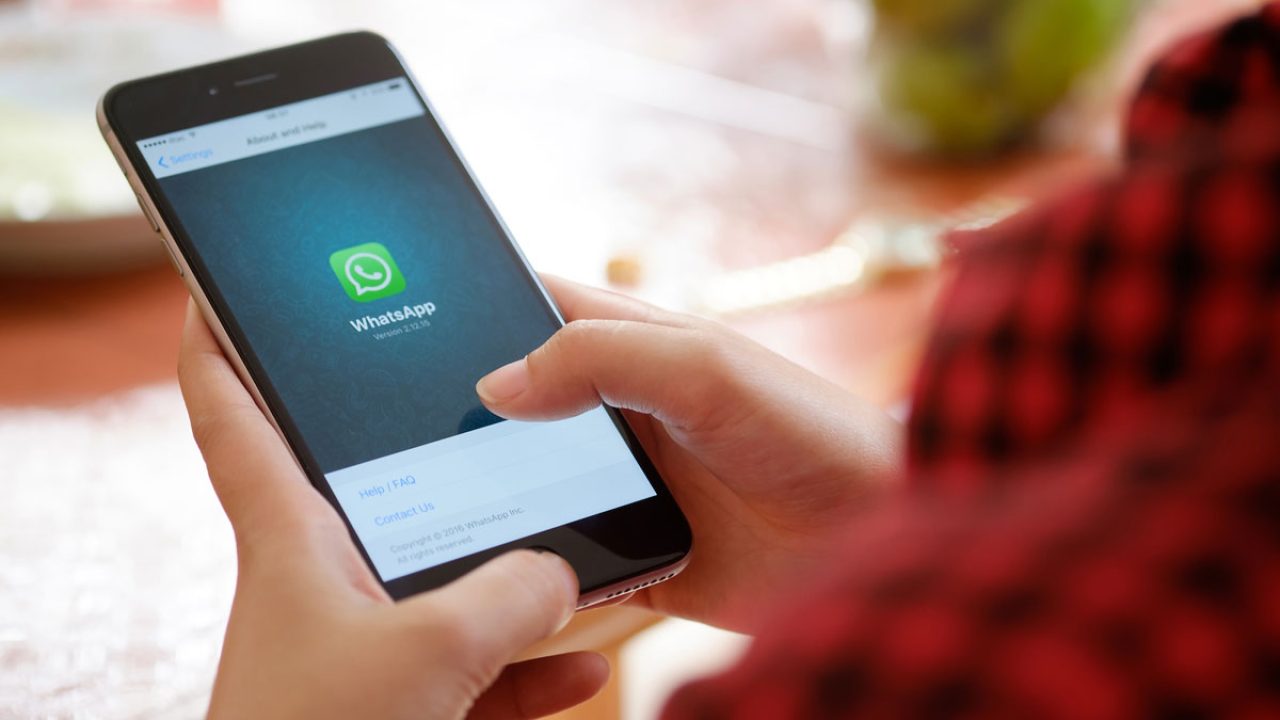Cara Menghentikan Cadangan WhatsApp Agar Kuota Internet Aman