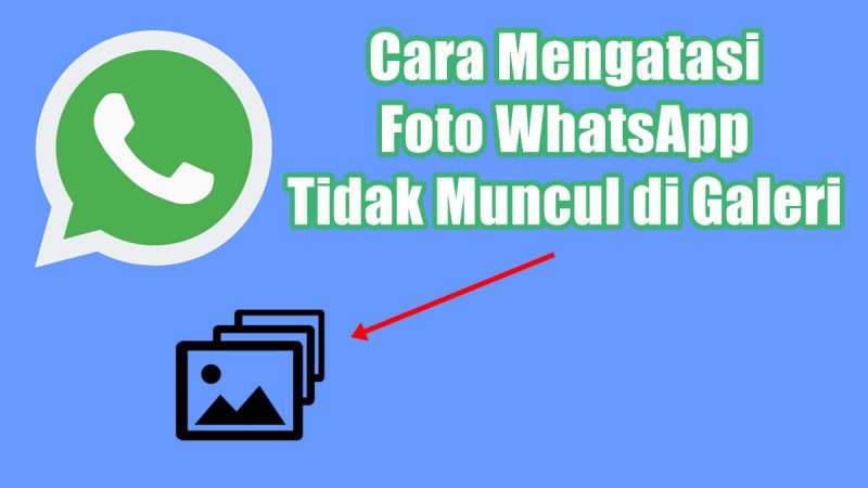 Cara Mengatasi Foto WhatsApp Tidak Muncul di Galeri