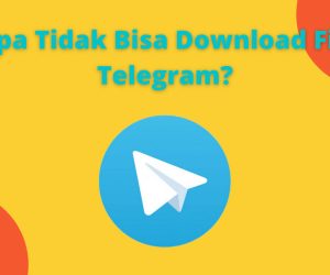 Kenapa Tidak Bisa Download Film di Telegram?