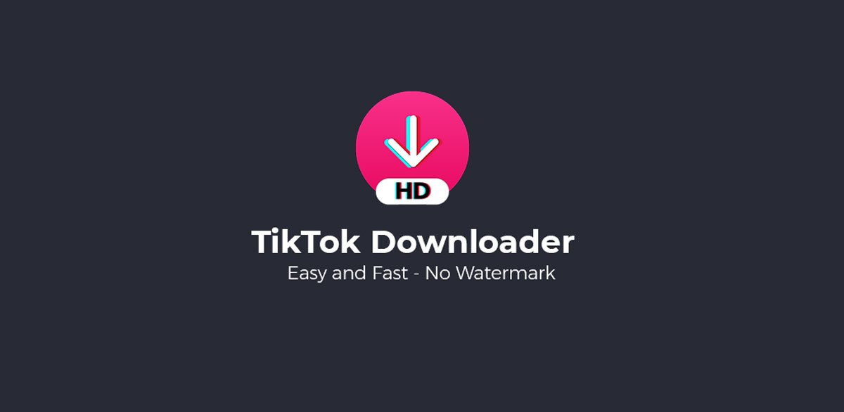 Download video without watermark. Downloader.