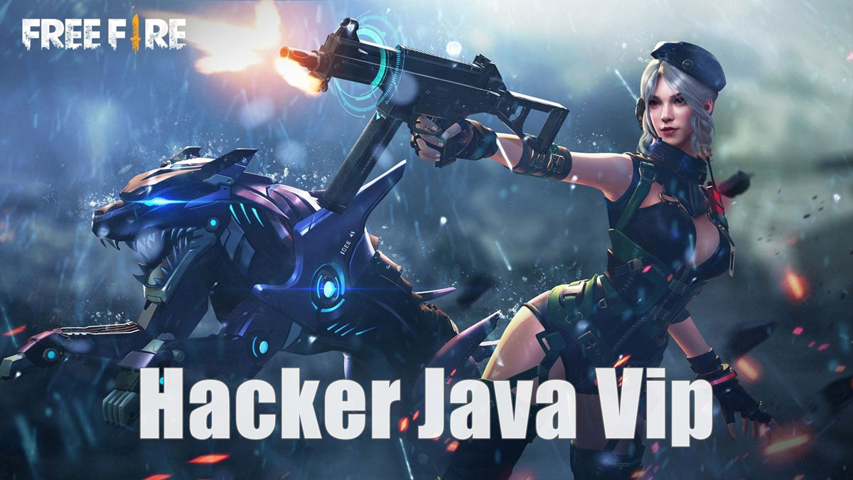 Hacker Java Vip