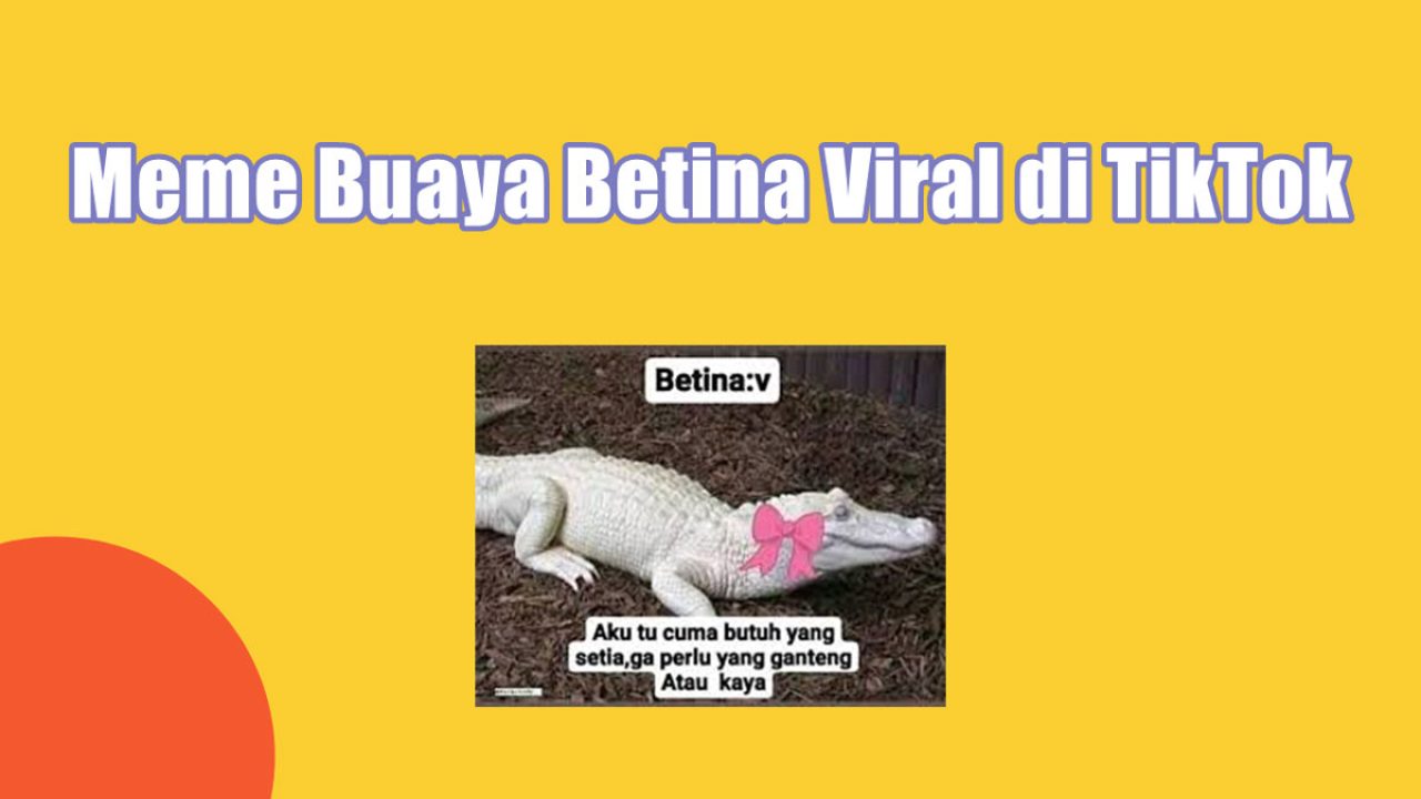 Meme Buaya Betina Viral di TikTok, Ini Link Downloadnya