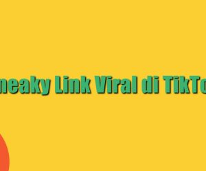 Sneaky Link Viral di TikTok