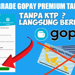 Cara Upgrade Akun GoPay Menjadi GoPay Plus Tanpa KTP