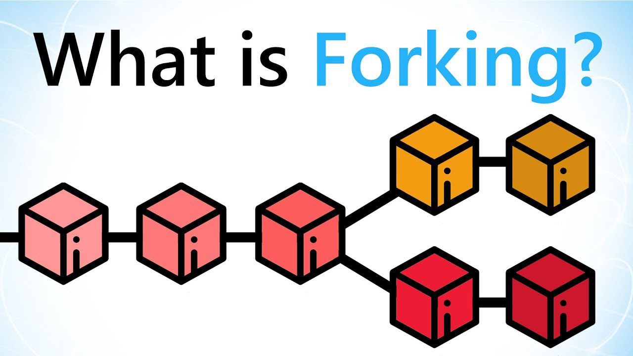 Apa Itu Fork Crypto? Forking dan Keuntungannya Bagi Investor