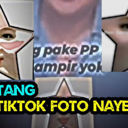 PP Foto Bintang Im Gonna Be A Star TikTok Viral