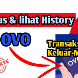 Cara Menghapus History Transaksi OVO