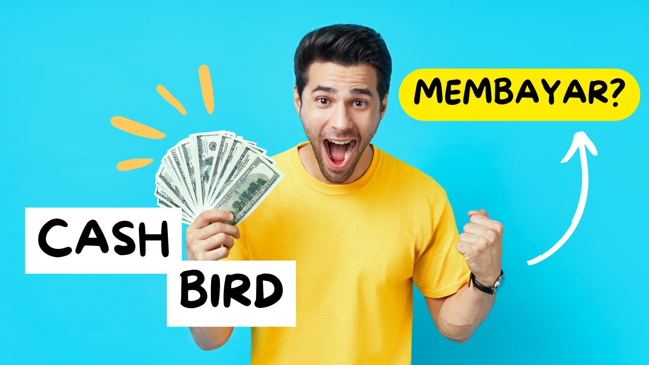 Cash Bird Apk (CashBird) Penghasil Uang, Apakah Membayar?