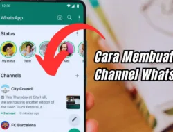 Cara Membuat Channel WhatsApp Sendiri Dengan Mudah
