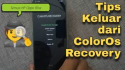 Cara Mengatasi ColorOS Recovery OPPO dan Keluarnya